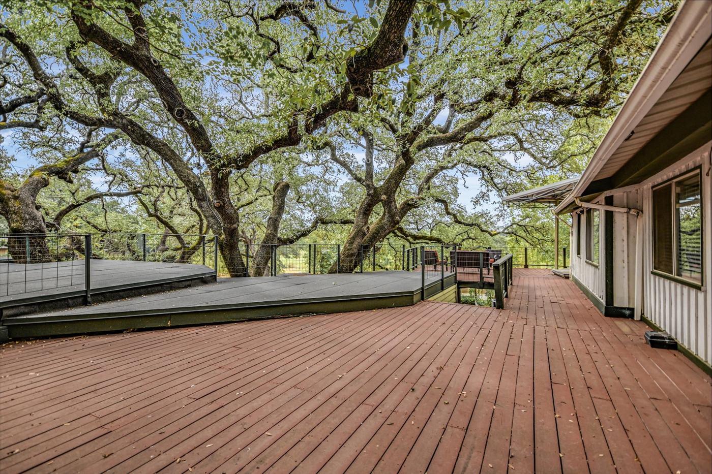 Upper deck under the live-oak canopy — beside Suite 100