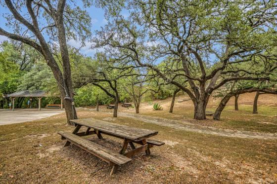 The live-oak grove — the old Backyard's shade
