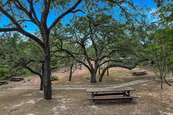Picnic tables in the oak grove
