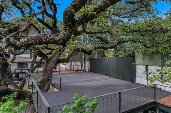 Upper deck from the tree canopy